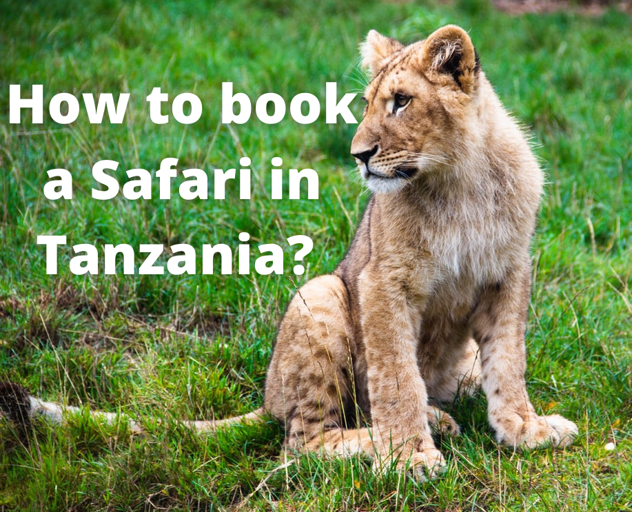 book safari tanzania