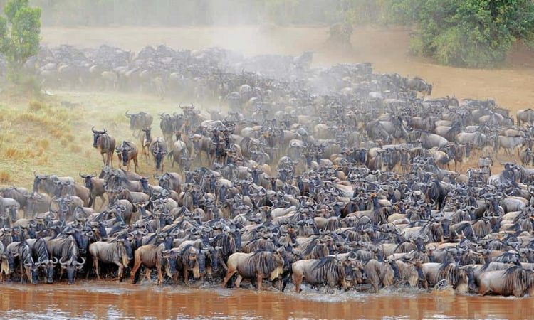 best time to visit Tanzania 