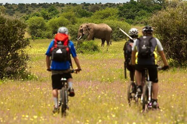 Bike Safari-Enduimet Wildlife Management Area