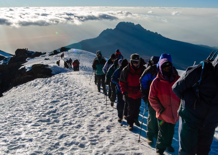 Join a group to climb Kilimanjaro