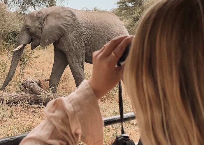 A day trip to Tarangire