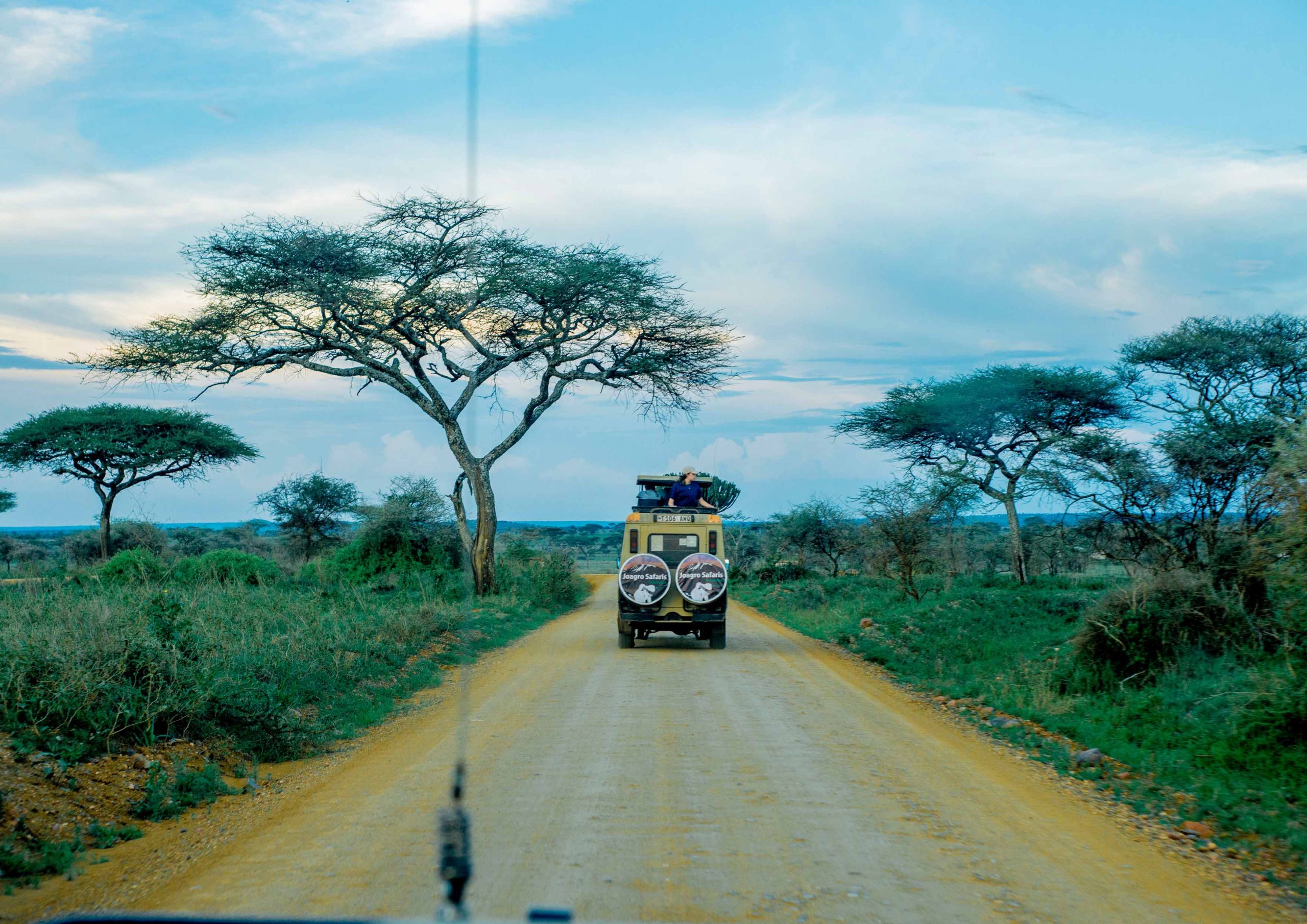 2-Day Safari to Tarangire & Ngorongoro-Best safari in Tanzania