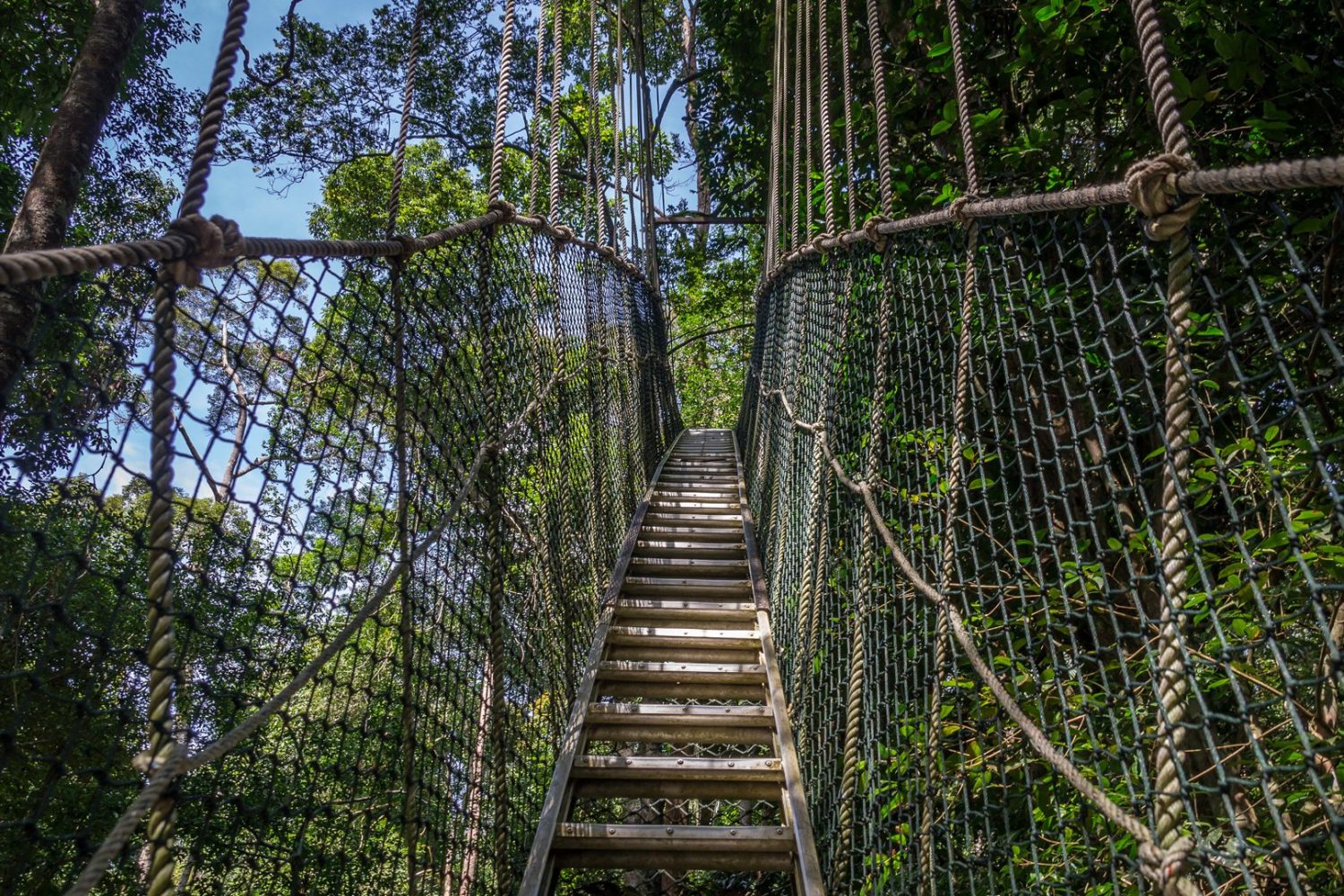 treetop walk at Lake Manyara