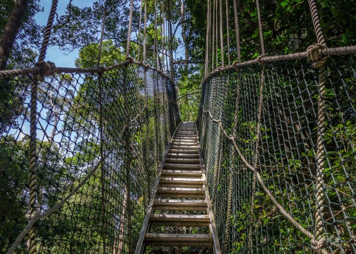 treetop walk at Lake Manyara