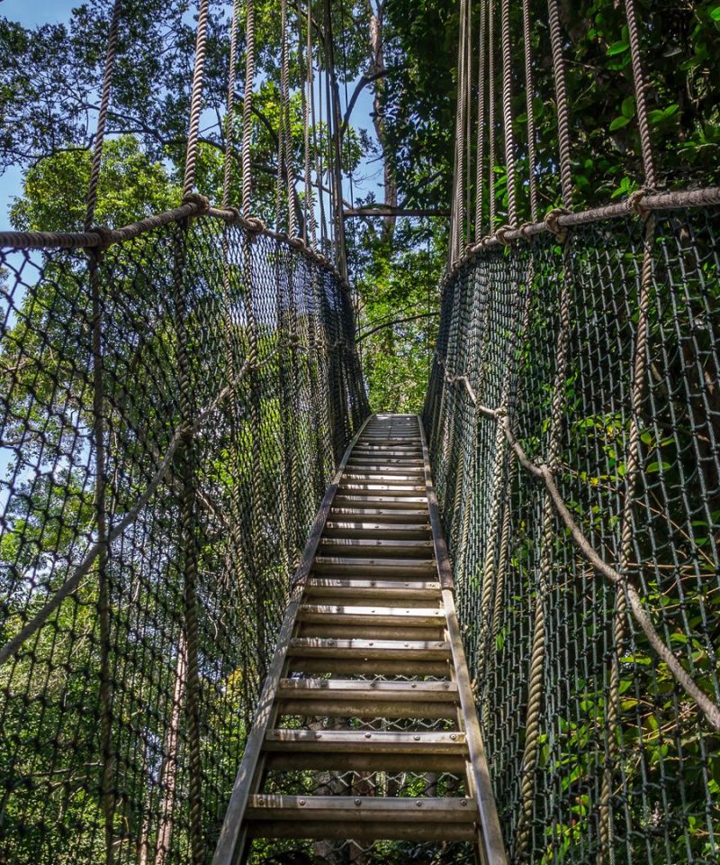 treetop walk at Lake Manyara