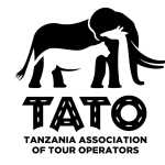 What is TATO and How Does It Work?