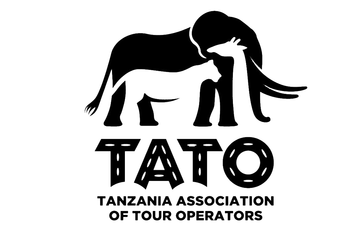 What is TATO and How Does It Work?