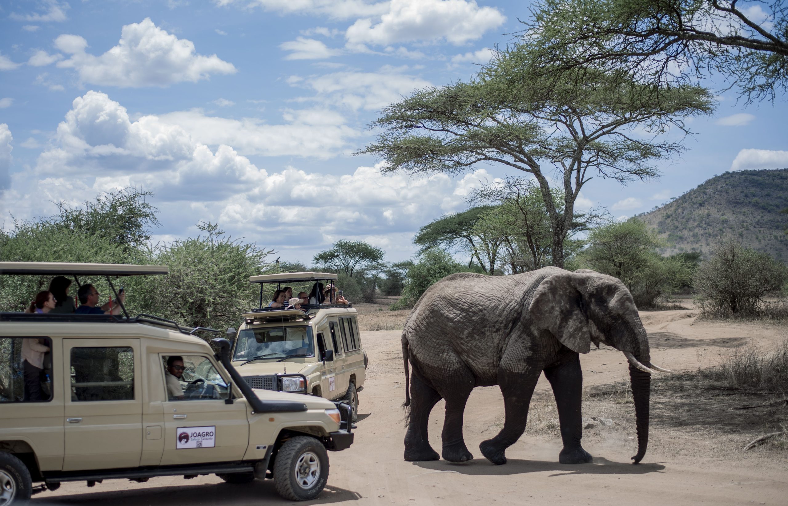 Local Tour and Safari Operator in Tanzania