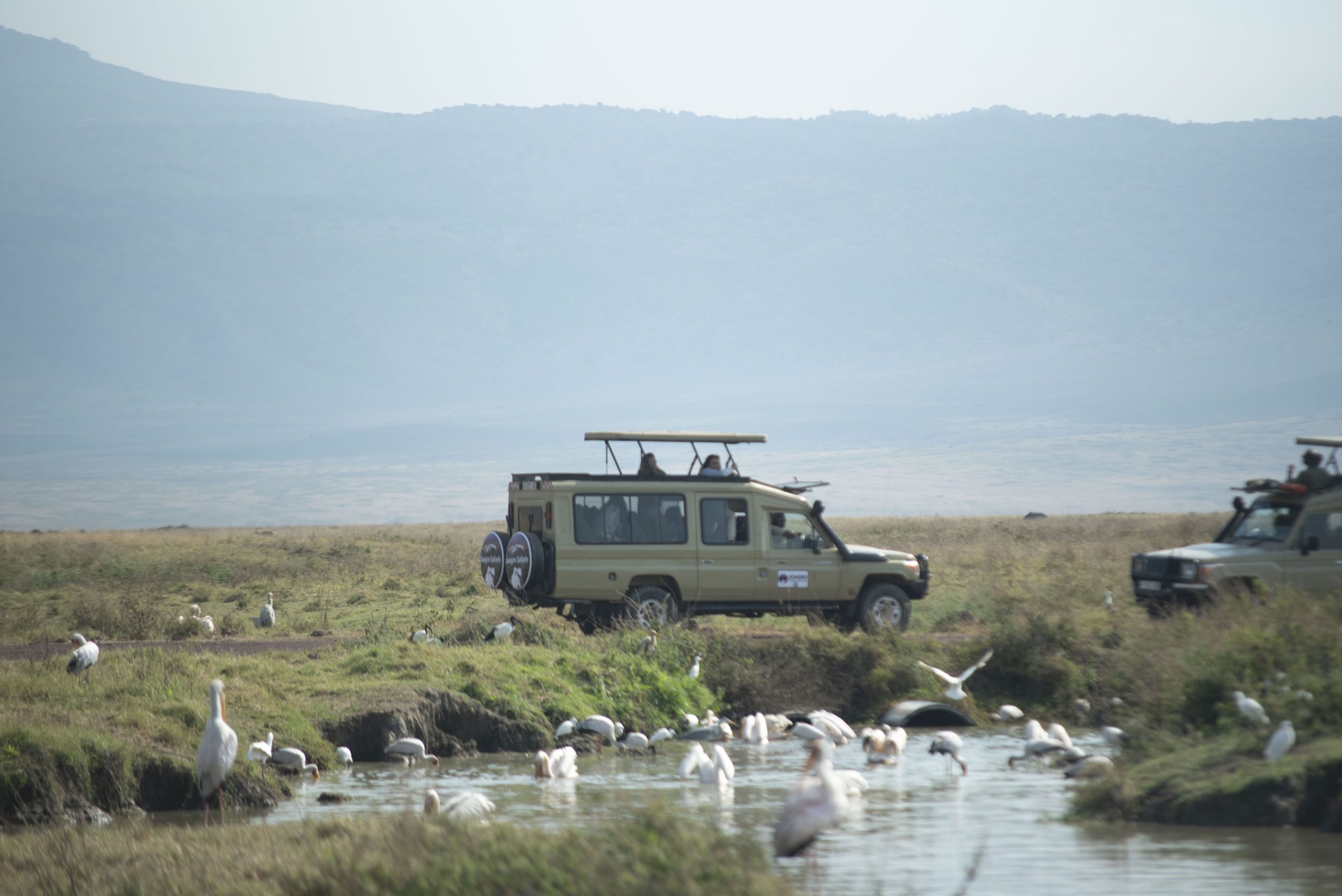 Local Tour and Safari Operator in Tanzania