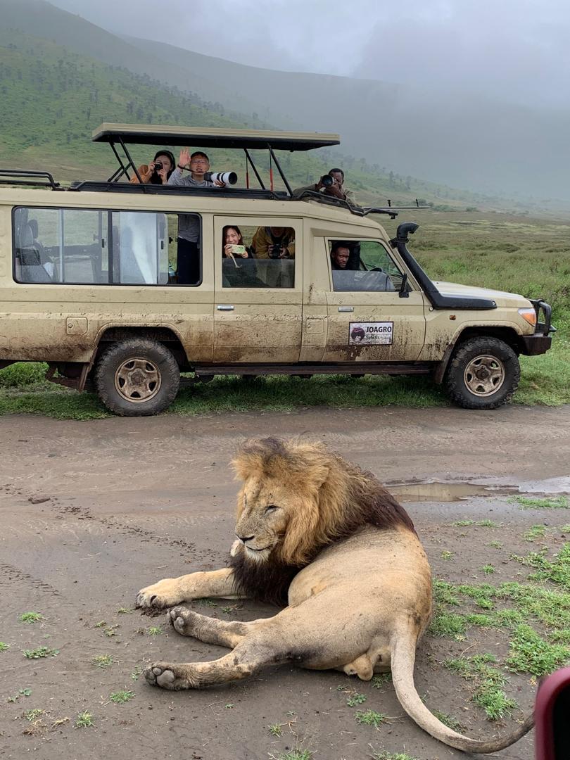 Local tour and safari operator in Tanzania